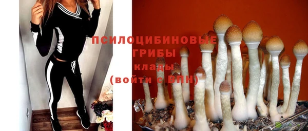 шишки Заволжск