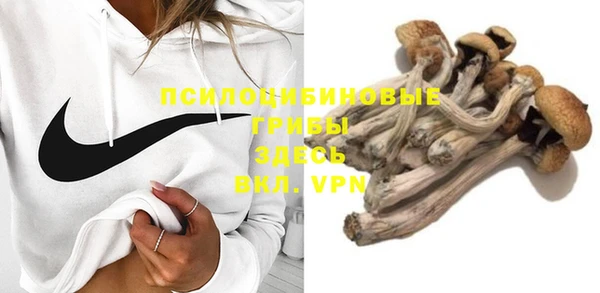 дурь Заволжье
