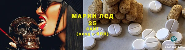 стафф Заводоуковск