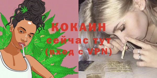 стафф Заводоуковск