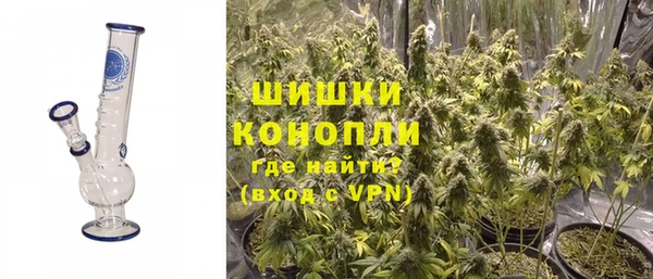стафф Заводоуковск