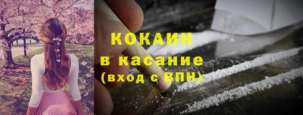 стафф Заводоуковск