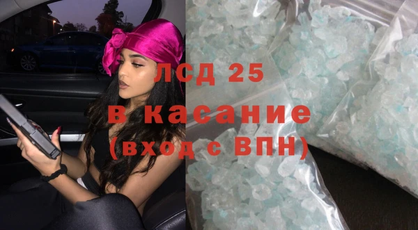 шишки Заволжск