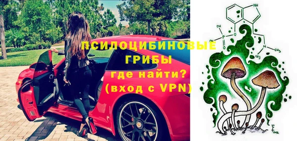 шишки Заволжск